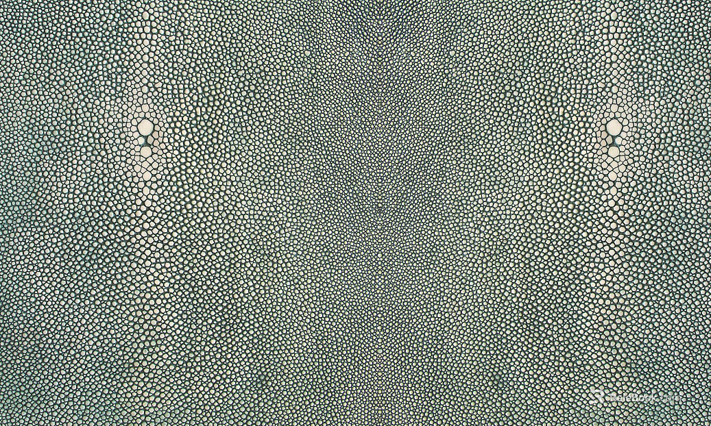 leather leather grain cowhide texture
