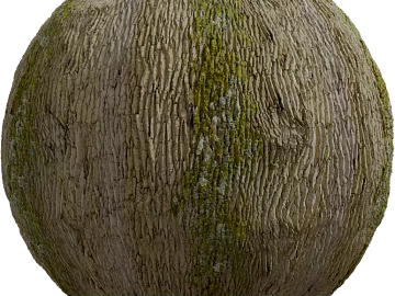 Bark PBR texture (ID:ffach077464)