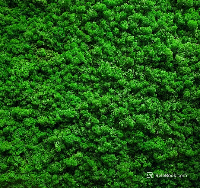 moss texture