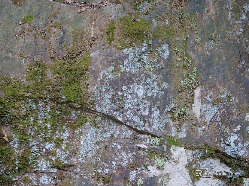 Stone Wall Texture texture