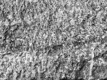 Black and White Bump texture (ID:ffaef0906)