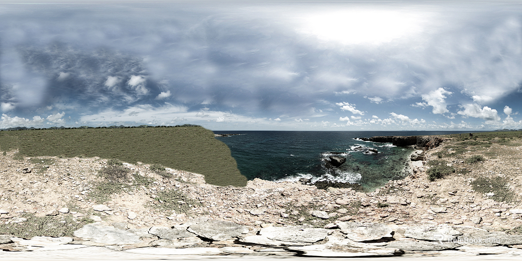 Wild Scenery texture