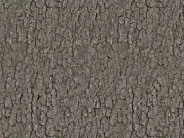 bark texture (ID:ffajg94944)