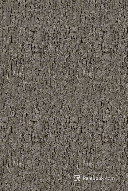 bark texture