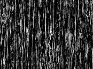 Black and White Bump texture (ID:ffadf7063)