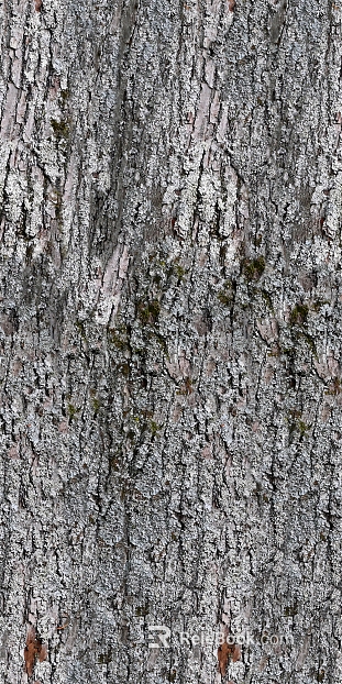 bark texture