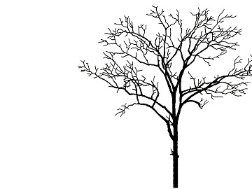 black and white tree shadow texture (ID:ffaeg27207)