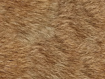 Fur texture (ID:ffach866815)