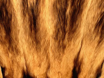 animal fur texture (ID:ffagg34582)