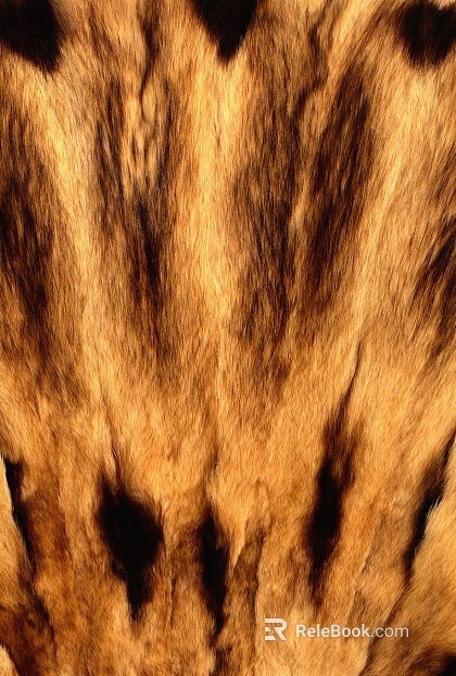 animal fur texture