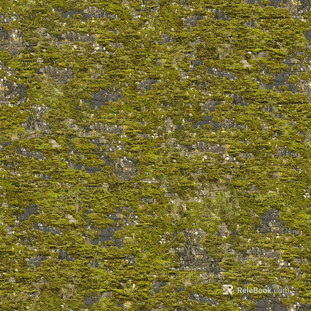 moss texture
