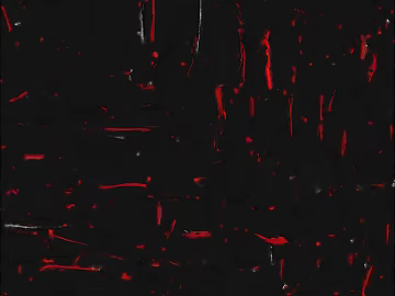 Black and red art paint wall texture (ID:ffaeh355476)