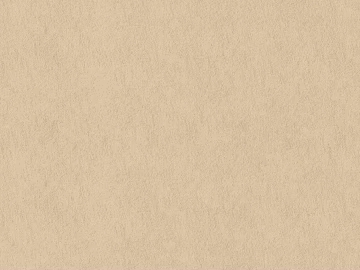 Mud texture (ID:ffacg00002)