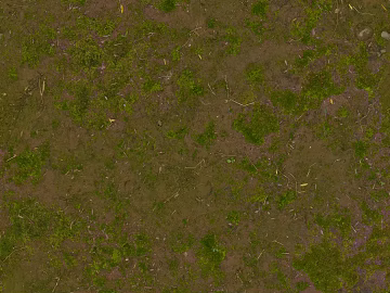 grassland soil wetland ground texture (ID:ffach922716)