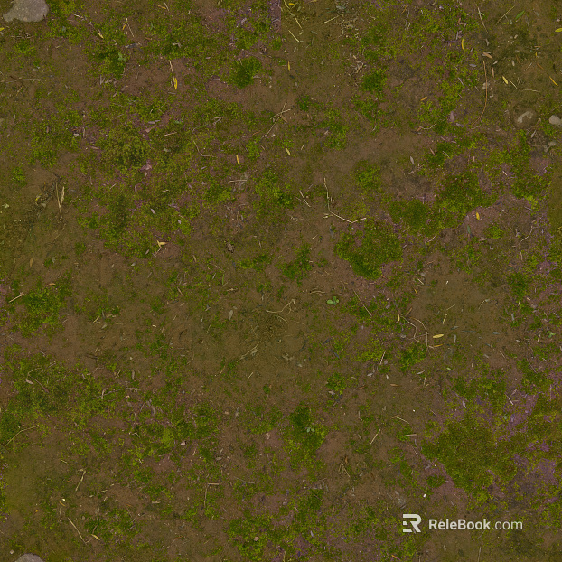 grassland soil wetland ground texture