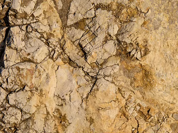 Rock Grass Dry and Yellow texture (ID:ffagg58045)