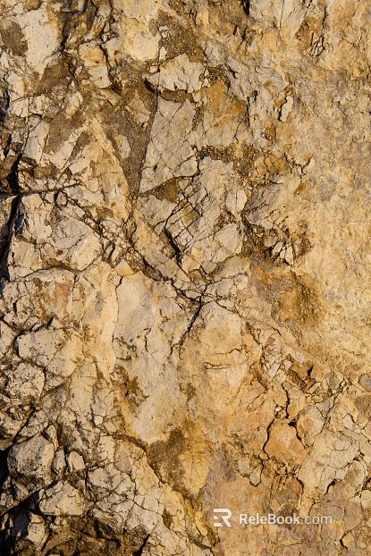 Rock Grass Dry and Yellow texture