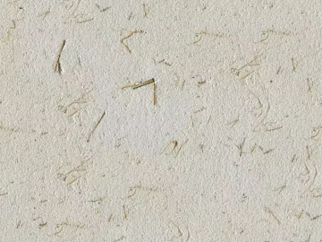 Cement ecological grass mud color exterior paint texture (ID:ffajg79299)