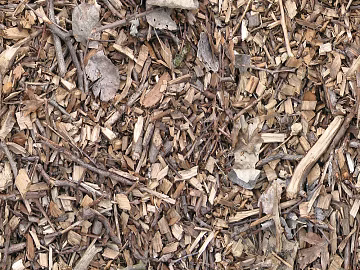 Turf ground texture (ID:ffaaf1297)