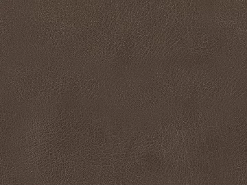 fine grain leather 3d model