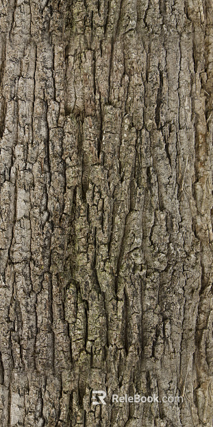 bark texture
