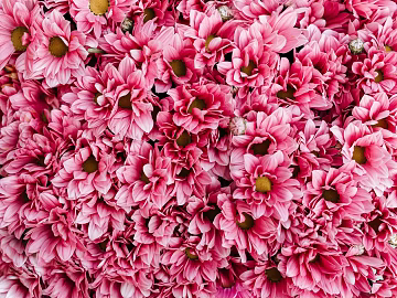 Flowers 3d model