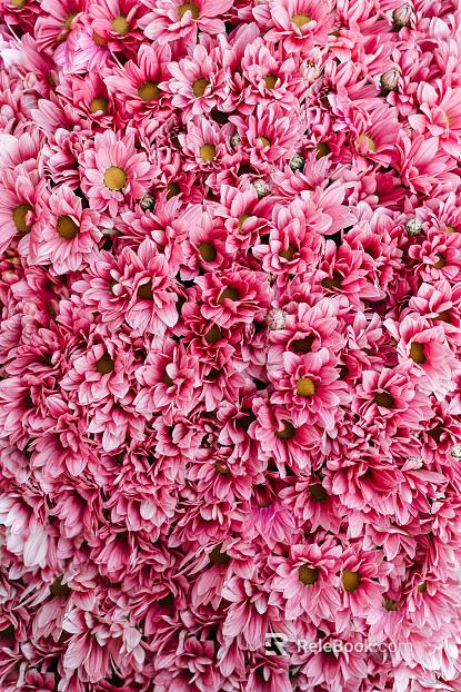 Flowers texture