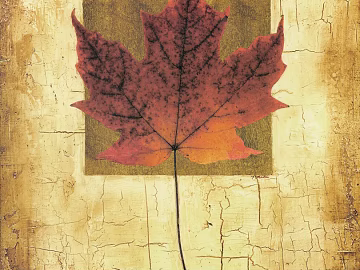 Cement wall texture (ID:ffacg24887)