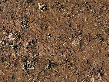Mud texture (ID:ffacg08994)