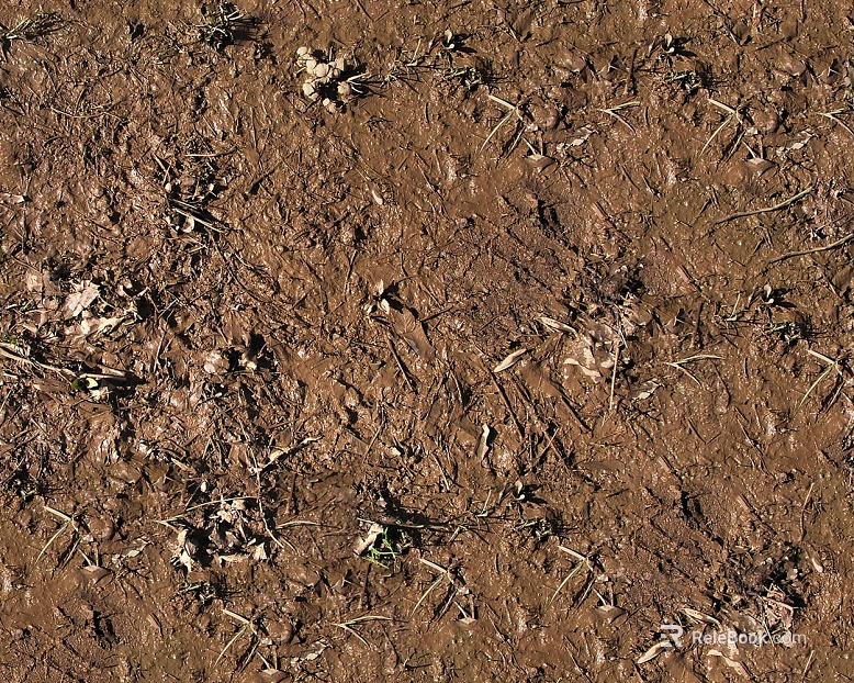 Mud texture