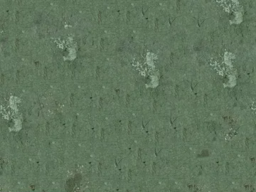 Grayish green straw wall paint texture (ID:ffaeh426916)