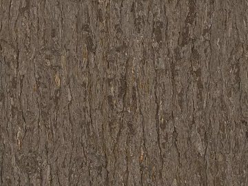 bark texture (ID:ffajg67530)