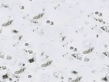 Snow texture (ID:ffaag36501)