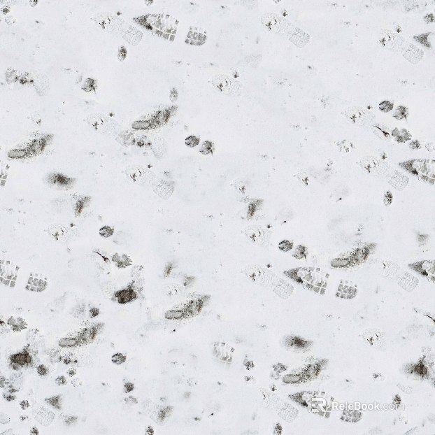 Snow texture