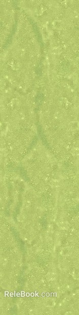 Light green texture paint interior wall finish texture