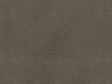 fine grain leather 3d model
