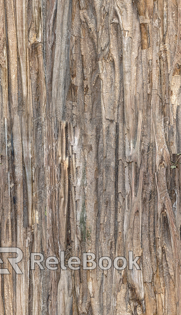 bark texture