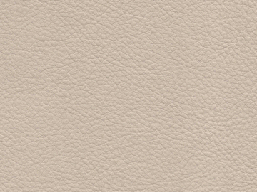 fine grain leather texture (ID:ffaeg94151)