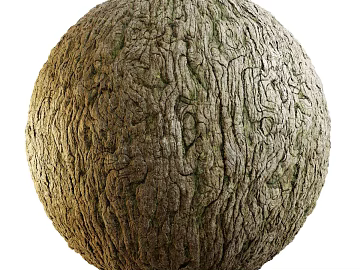 Bark PBR texture (ID:ffadg92082)