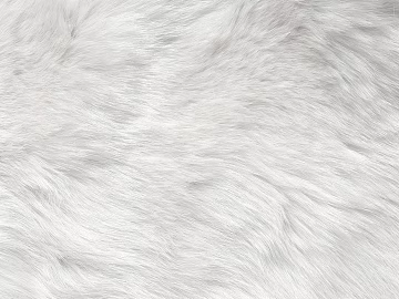 animal fur texture (ID:ffaef5530)