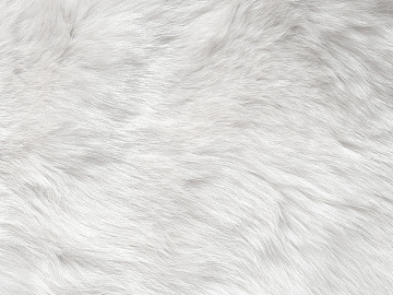 animal fur texture (ID:ffaef5530)