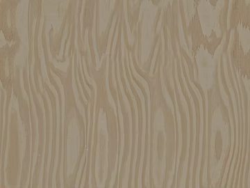Wood grain birch wood grain paint figure texture (ID:ffaag50834)