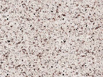 terrazzo artificial stone ground glue texture (ID:ffach679365)