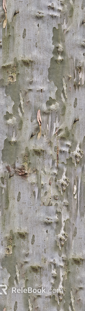 bark texture