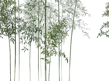 plant pattern texture (ID:ffach256610)