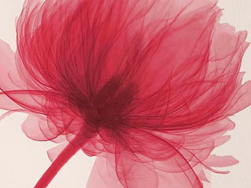 Plant painting texture (ID:ffaeg77799)