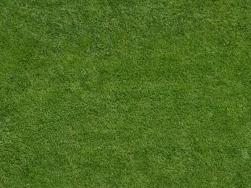 Turf texture (ID:ffagg13546)