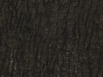 bark texture (ID:ffaag50800)