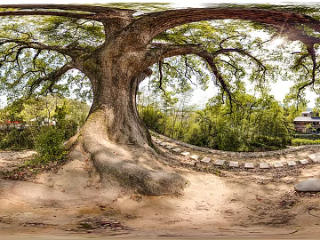 outdoor park landscape daytime hdr texture (ID:ffach117366)