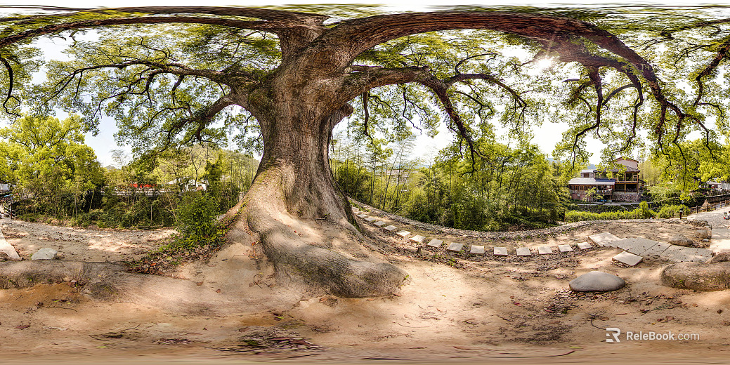 outdoor park landscape daytime hdr texture